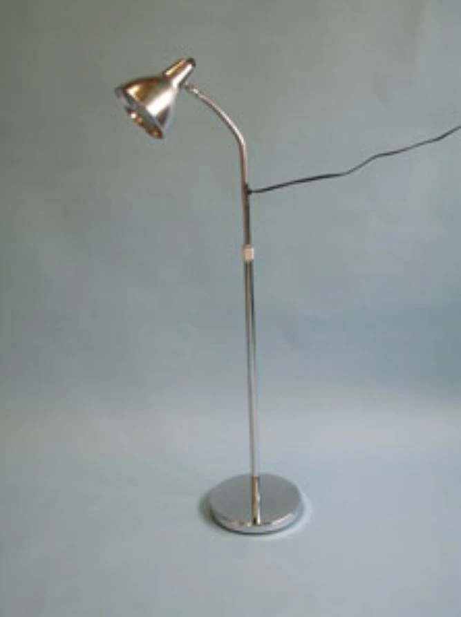 Brandt Industries Exam Light, Gooseneck, Silver, LED Floor Stand