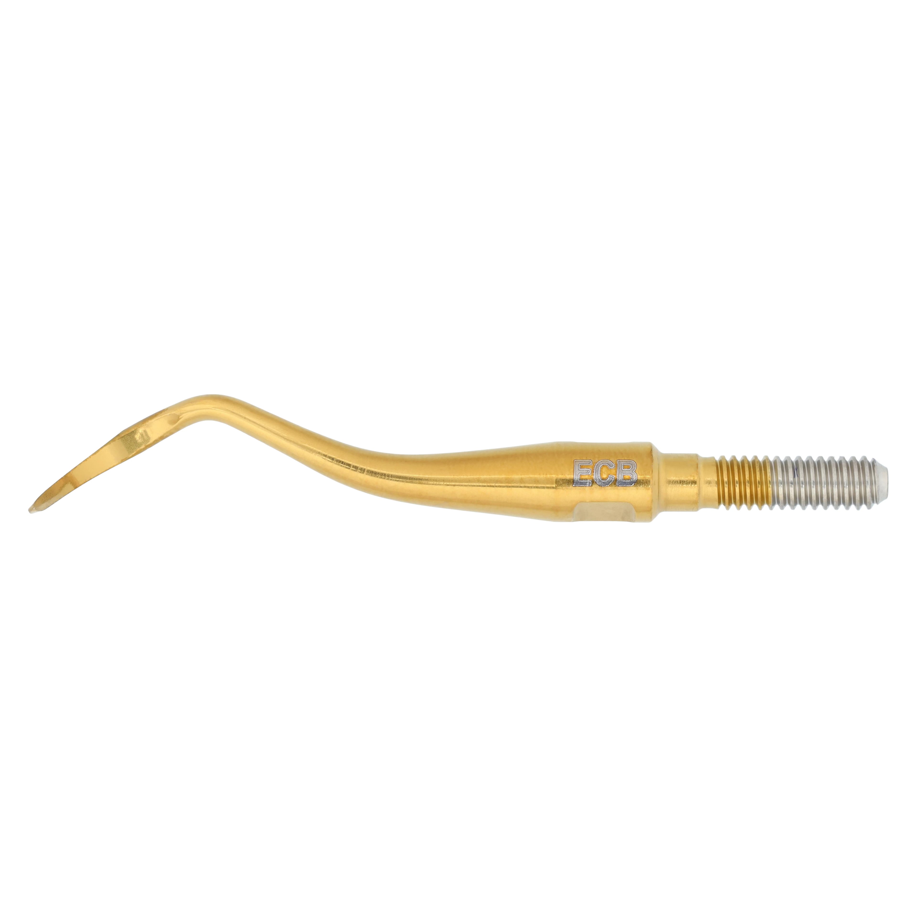 American Eagle Instruments Eagle Claw B XP Quik-Tip Scaler, Cone Socket, Carbon Steel, AESECBXPQT