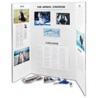 Hunt Manufacturing Tri-Fold Corrugate Display Board, 36 x 48 in, White, 1/Package