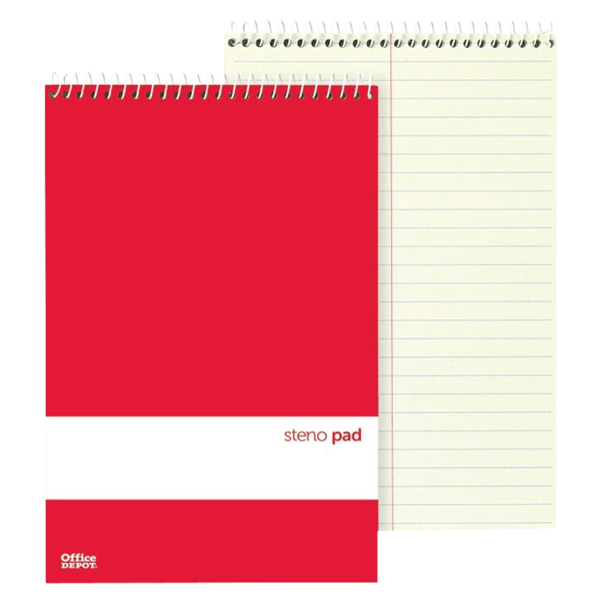 Steno Books 6" x 9" Gregg Ruled, 70 Sheets, Green Tint, 12/Pack