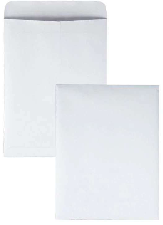 Cenveo Redi-Seal Catalog Envelope, 9" x 12", White, 100/Box