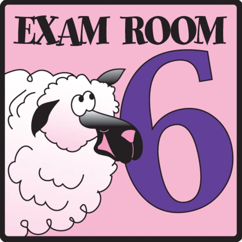 Clinton Industries Exam Room Sign, Flat Surface Mount, Lamb/Pink Plastic, Each