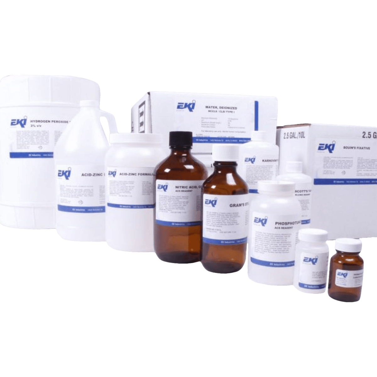 Toluidine Blue Stain Solution 1%, 16 oz Bottle