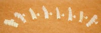 DirectCrown Posterior Bridge Refill, Upper Right, Large, Opaque, 3 Shells/Pack, PB2