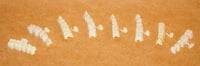 DirectCrown Posterior Bridge Refill, Opaque, Lower Left, Small, 3/Pack
