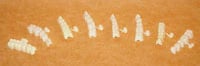 DirectCrown Posterior Bridge Refill, Upper Left Small, Opaque, 3 Shells/Pack