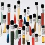 BBL Mycoflask Prepared Media Sabouraud Liquid Broth Tube, Modified, 1/Tube