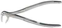 Miltex #74 Extracting Forceps, English Pattern, Lower Roots, 4-1/2", Petite, Stainless Steel, 1 Each