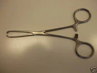 Baby Allis Tissue Forceps, Straight, 5-1/2" (14 cm), 4 x 5 Teeth, Delicate Jaws, Stainless Steel, Autoclavable, Each