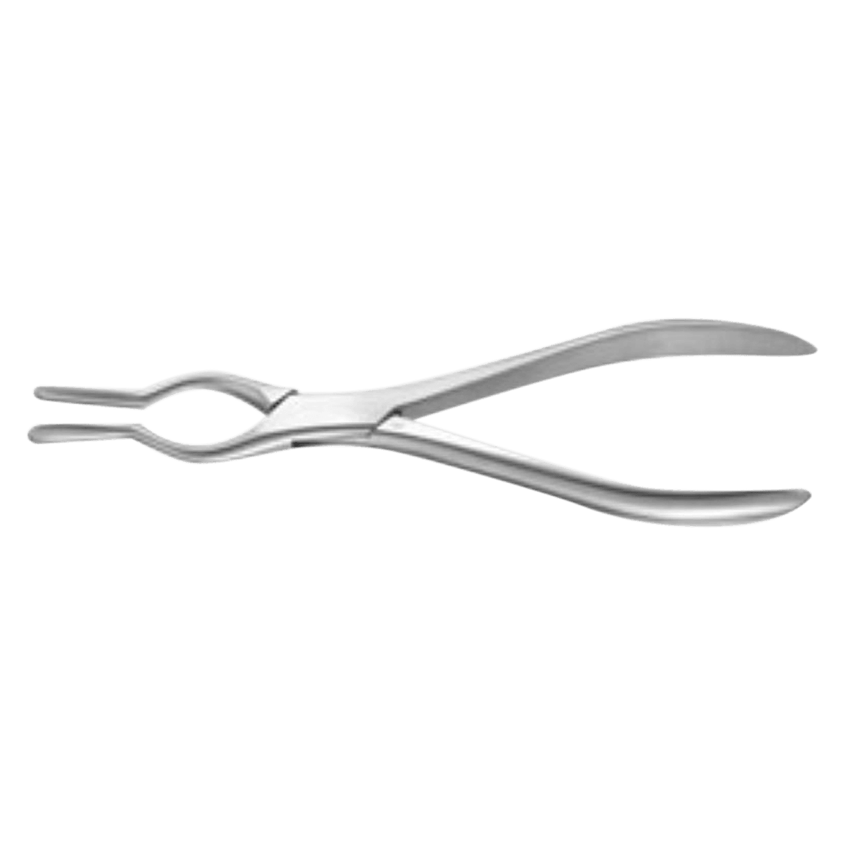 Padgett Walsham Septum Forceps, Straight, 9"