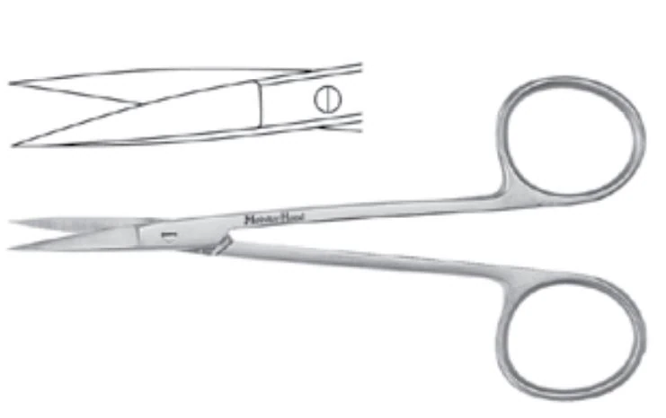 Meister-Hand Iris Scissors, Straight, Delicate, 3-1/2" (9 cm), Stainless Steel, Each
