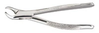 Miltex Vantage 151S Extraction Forceps, Lower Primary Teeth, Serrated, Stainless Steel, 5.5-6 in
