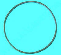 Chemiclave Door Gasket for Models 5500, 7000, and AQ20