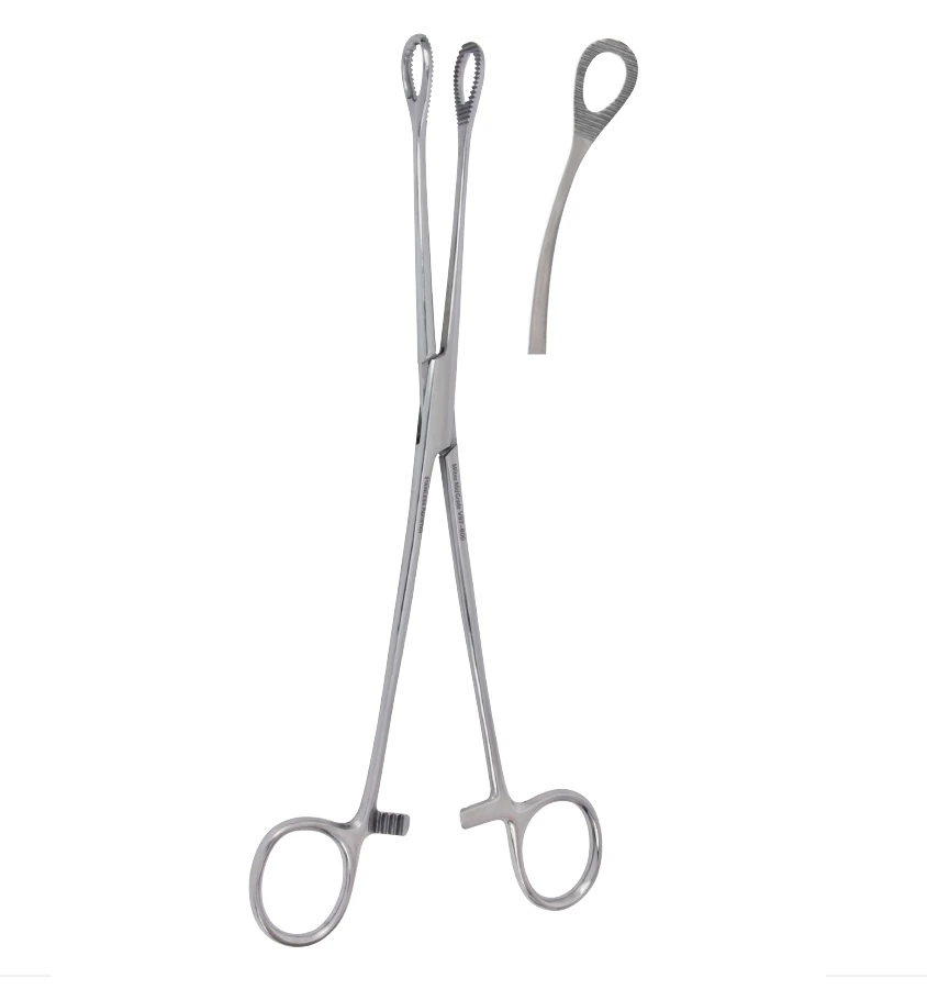 Vantage Foerster Sponge Forceps, 9.5" Curved, Serrated, Fenestrated Oval Tips, Floor Grade Stainless Steel, Non-Sterile