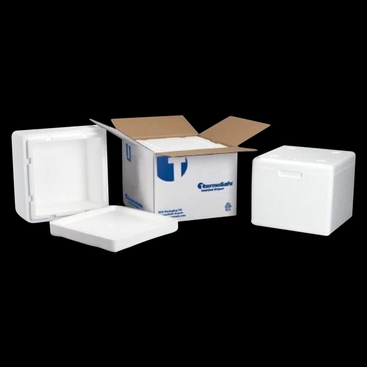 ThermoSafe Insulated Shipper Core, 11 x 11 x 11-5/8" with Corrugated Carton, 4/Case