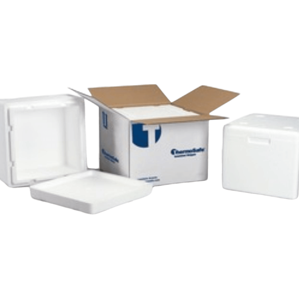 ThermoSafe Insulated Shipper with Corrugated Carton, 20-1/4 x 13-1/4 x 13-3/4 in, 4/Case