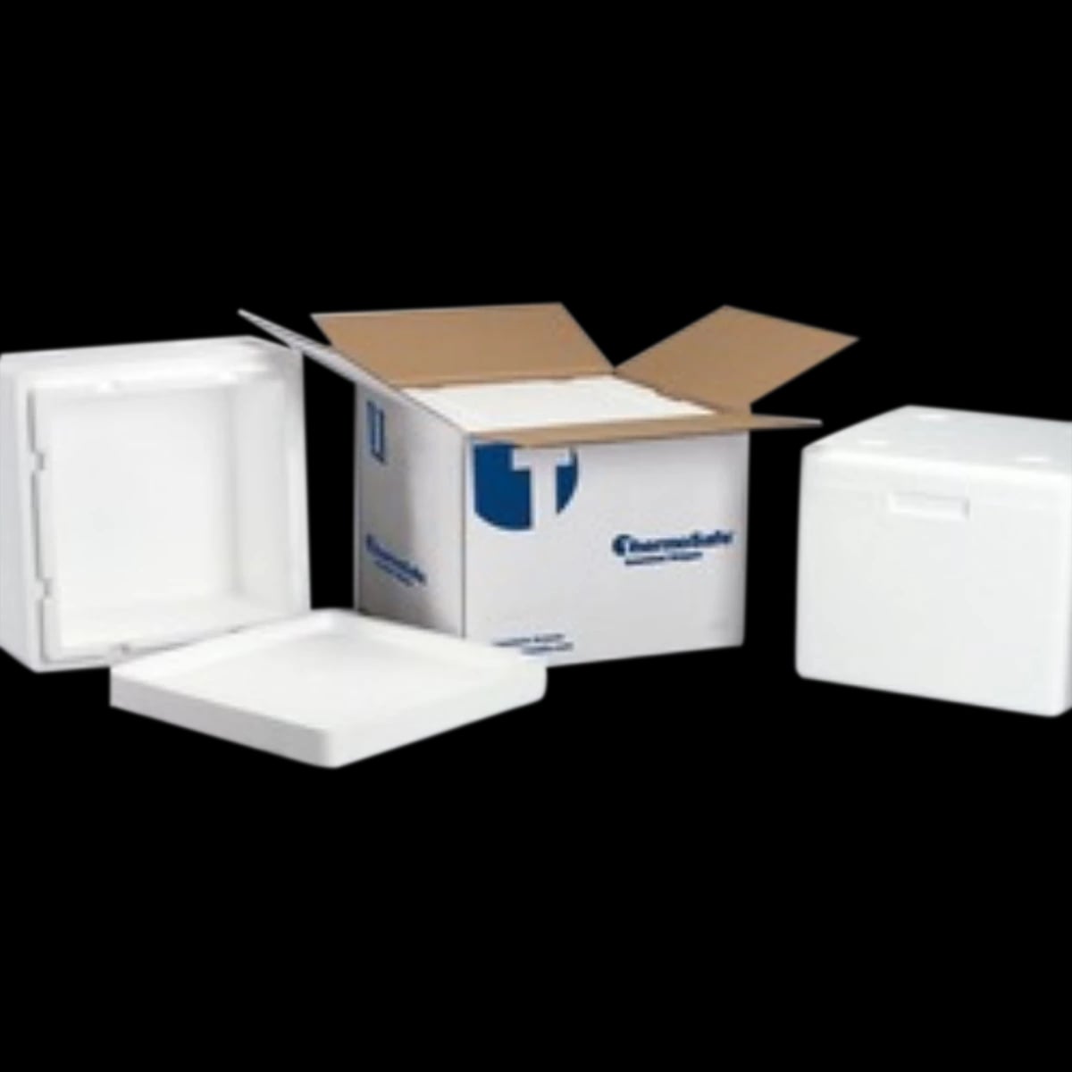 ThermoSafe Insulated Shipper, 6-1/4 x 4-1/4 x 5-1/2 in, 24/Case