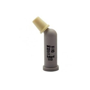 Esthet•X HD Micro Matrix Restorative, Compule Tip, B1 Body Shade, 0.25 g, Pack of 20