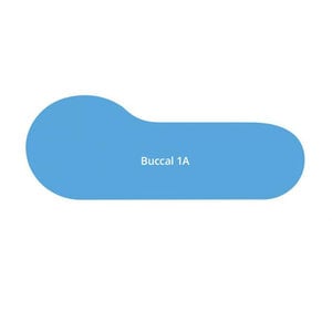 Riofoto Rhodium Coated Intraoral Photography Mirror, Adult Buccal (1A), 1 Each