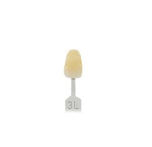 VITA Toothguide 3D-MASTER Shade Guide Tab #3L, Each