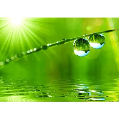 Spring 4-Up Laser Postcards, Spring Drops Design, 5-1/2" W x 4-1/4" H, 100/Pkg
