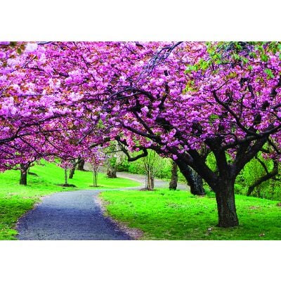 Spring 4-Up Laser Postcards, Spring Trees Design, 5-1/2" W x 4-1/4" H, 100/Pkg