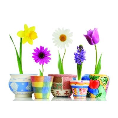 Spring 4-Up Laser Postcards, Potted Posies, 5-1/2" W x 4-1/4" H, 100/Pkg
