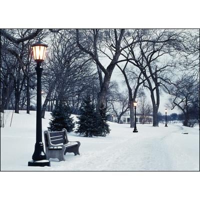 Winter Personalized Postcard, Snowy Trail With Lightpost, 6" W x 4-1/4" H, 100/Pkg