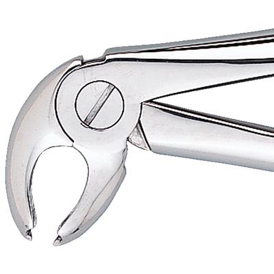 Patterson® Extracting Forceps #FX22, Universal, Stainless Steel, 1/Pkg