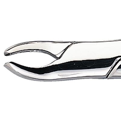 Patterson® Extracting Forceps #24, Universal, Hook Handle, Stainless Steel, 1/Pkg