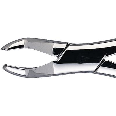 Patterson® Extracting Forceps #53R, Upper Right Molar, Stainless Steel, 1/Pkg