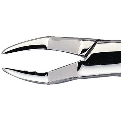 Patterson® Extracting Forceps #65, Stainless Steel, Upper Incisor/Root/Fragment Extraction, 1/Pkg