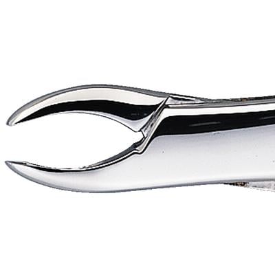 Patterson® Extracting Forceps #101, Stainless Steel, 1/Pkg