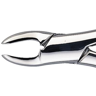 Patterson® Extracting Forceps #150, Upper Bicuspid/Cuspid/Incisor/Root, Stainless Steel, 1/Pkg