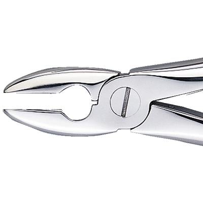 Patterson® Extracting Forceps # MD1, Stainless Steel, Upper Bicuspid/Cuspid/Incisor/Root, 1/Pkg