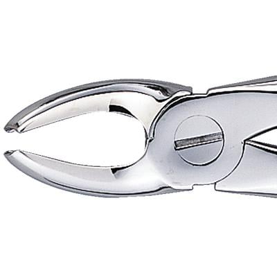 Patterson® Extracting Forceps # MD2, Universal, Stainless Steel, 1/Pkg