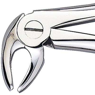 Patterson Extracting Forceps # MD3, Lower Bicuspid/Cuspid/Incisor/Root, Stainless Steel, 1/Pkg