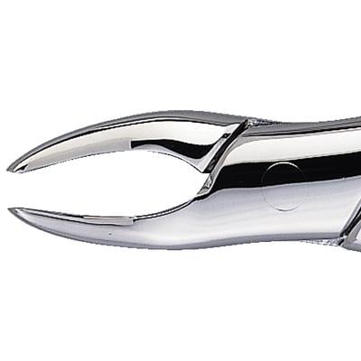 Patterson® Extracting Forceps #69, Stainless Steel, 1/Pkg
