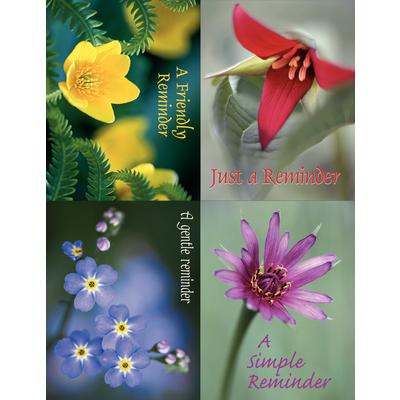 Assortment Pack Postcards, 4-1/4" W x 5-1/2" H, 100/Pkg - Floral Assortment