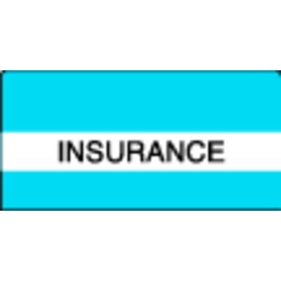 Patterson Office Supplies Index Tab, 1-1/2" W x 1-1/2" H, 102/Pkg - Insurance, Light Blue Stripes