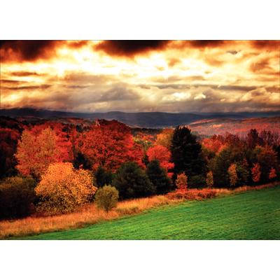Fall Personalized Postcards, Autumn Vista, 6" W x 4-1/4" H, 100/Pkg