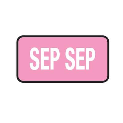 Tab® Compatible Individual Monthly Aging Label, 1" W x 1/2" H, 500/Roll - September, Pink