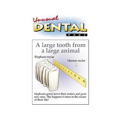 Assortment Pack Personalized Postcards, 4-1/4" W x 6" H, 1,000/Pkg - Unusual Dental Facts