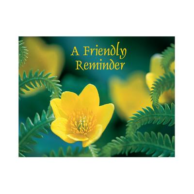 Assortment Pack Personalized Postcards, 4-1/4" W x 6" H, Floral Assortment, 1,000/Pkg
