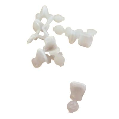 DirectCrown® Pediatric Preformed Crowns Refill Pack, Medium Upper and Lower Cuspid, 8/Pkg