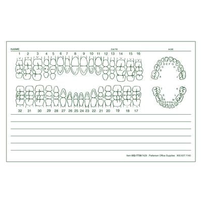 Patterson Office Supplies Examination Forms, 5-1/2" W x 3-1/2" H, 100 Sheets/Pad, 5 Pads/Pkg, Green Design, White