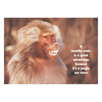 Animal (Cross Market) Personalized Postcards, A Healthy Smile Monkey, 6" W x 4-1/4" H, 100/Pkg