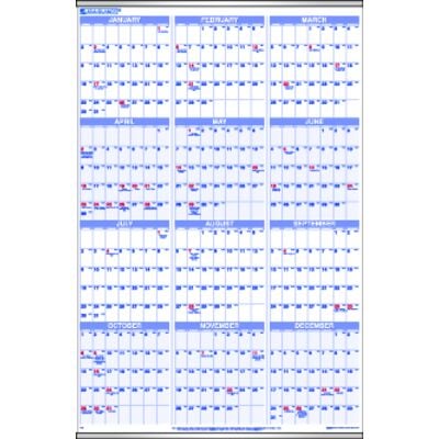 Yearly Planner Wall Calendar, Full Year Per Page, 24" x 36", Metal Bound Top/Bottom with Hanging Eyelet, Quarterly Shaded, Recycled, AAG PM12-28