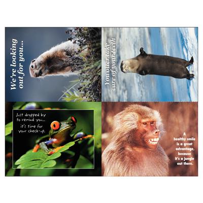Assortment Pack Postcards, 4-1/4" W x 5-1/2" H, 100/Pkg - Wildlife Assortment