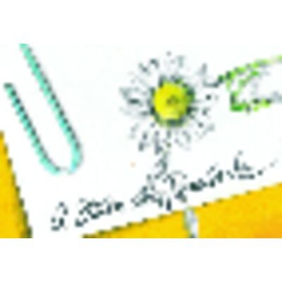 Reminder Postcards (DDS/MD) Personalized, Daisy Design, 6" W x 4-1/4" H, 100/Pkg